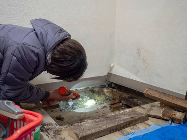 Best Environmental Consulting for Mold Prevention  in Hurley, WI