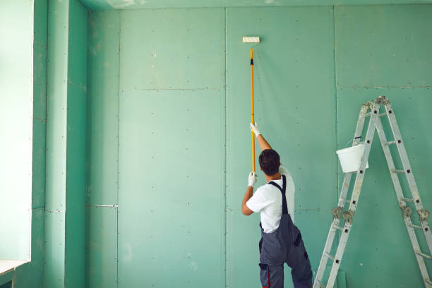 Best Mold Removal for HVAC Installations  in Hurley, WI
