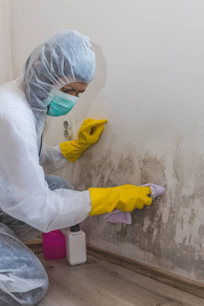 Best Residential Mold Inspection & Testing  in Hurley, WI