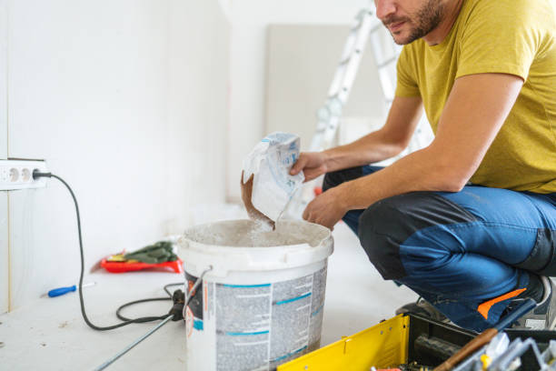 Professional Mold Removal in Hurley, WI