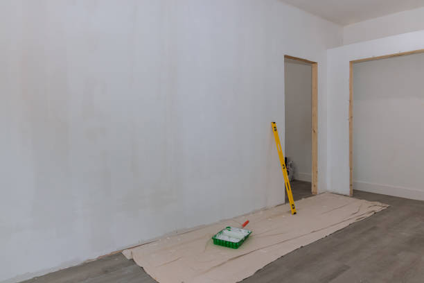 Best Basement Mold Removal  in Hurley, WI