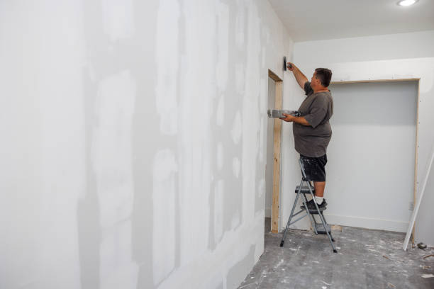 Best Mold Prevention Services  in Hurley, WI