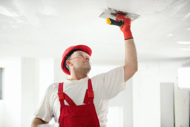 Mold Remediation for Rental Properties in Hurley, WI