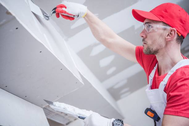 Best Asbestos and Lead Testing During Mold Inspection  in Hurley, WI