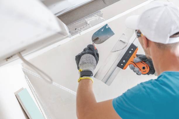 Best Airborne Mold Testing  in Hurley, WI